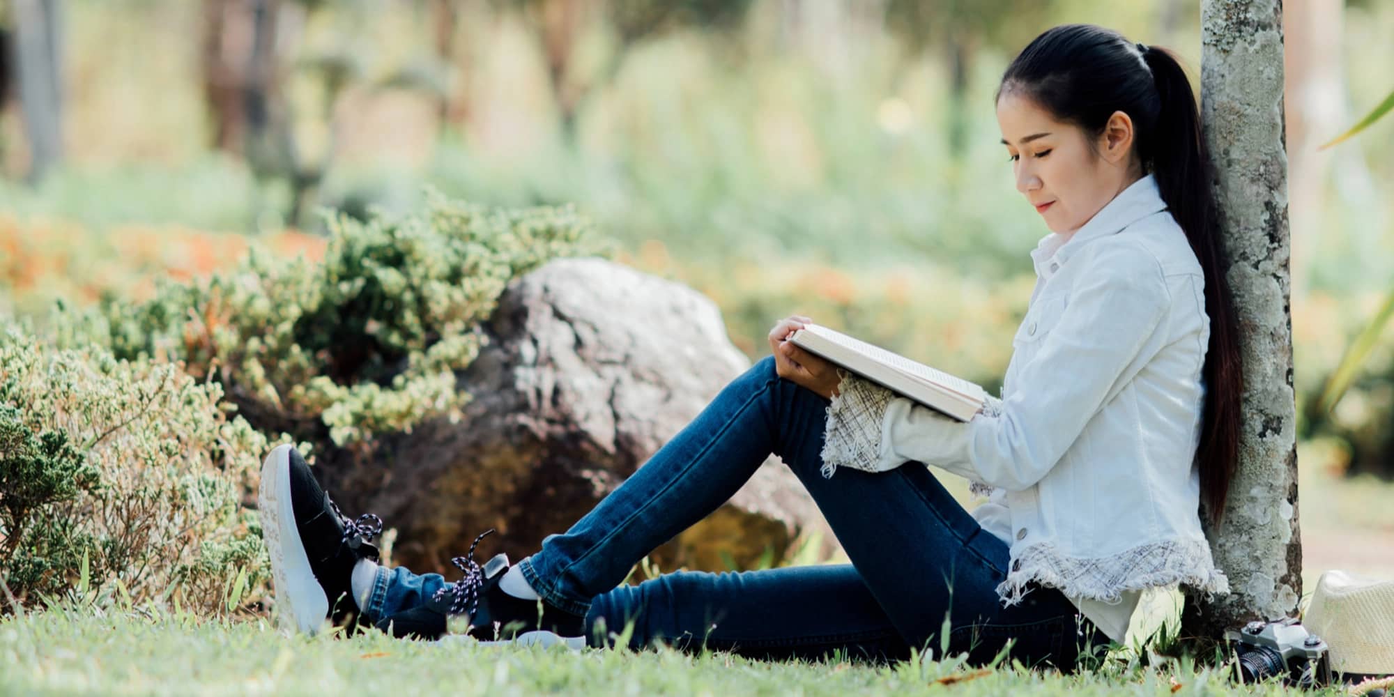 Seasonal plants for a year-round garden |