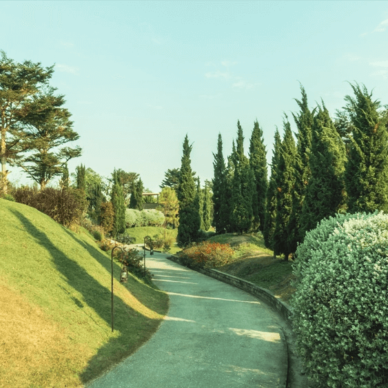 Top trends in modern garden landscaping |