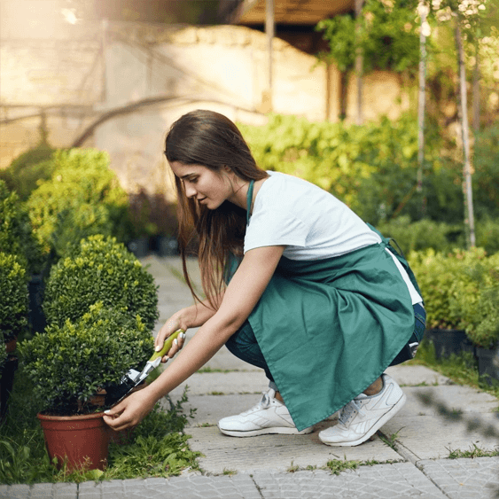 Low-maintenance garden landscaping ideas |